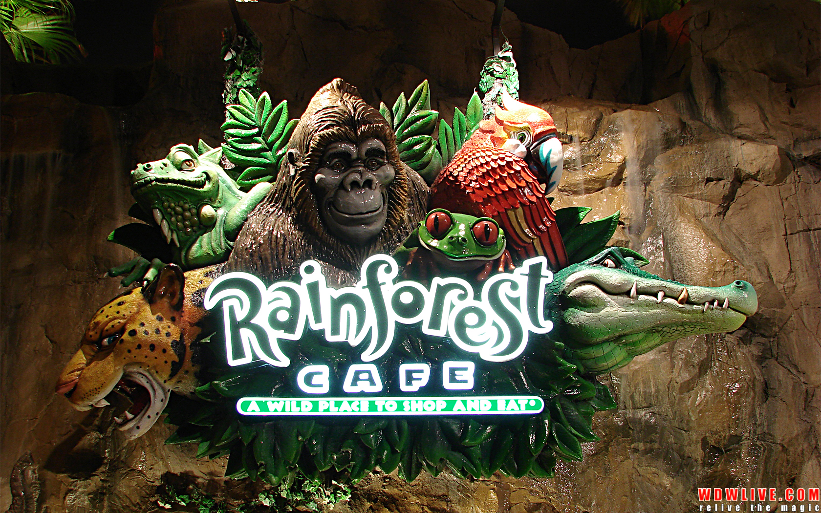 Rainforest Cafe Desktop Wallpaper