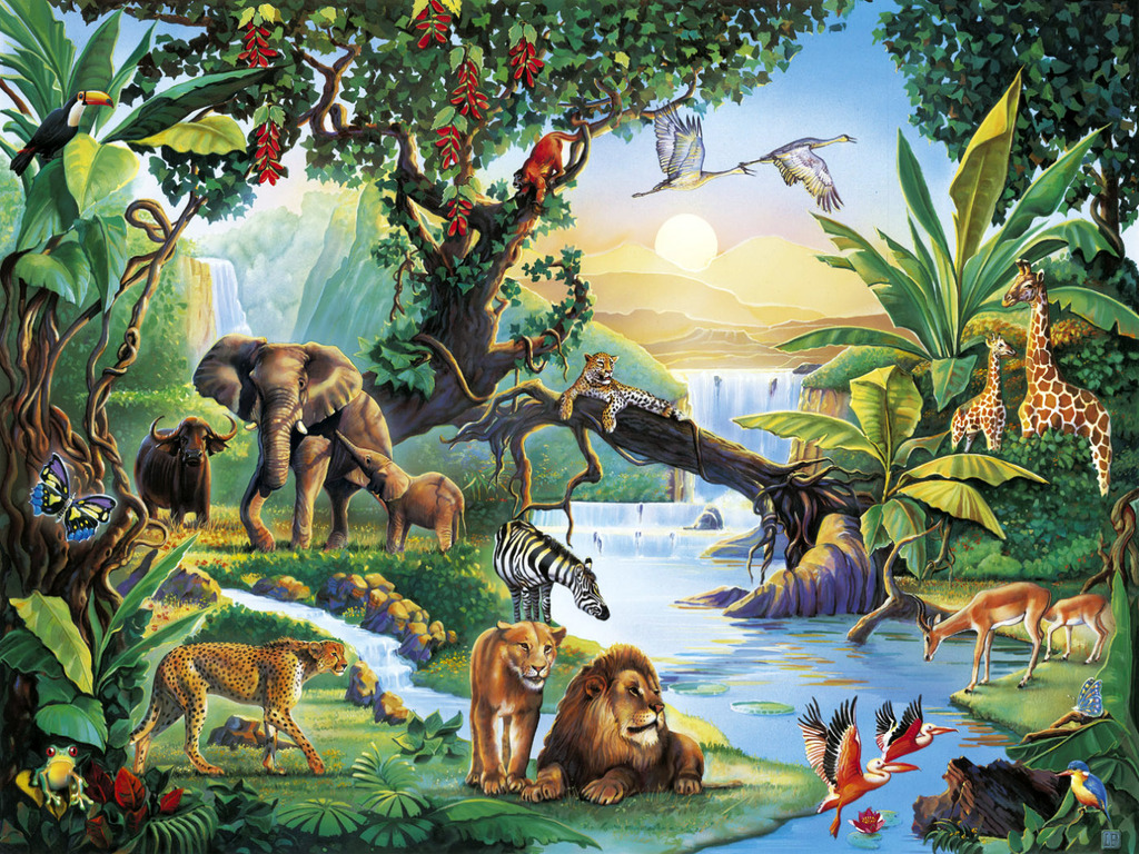 Jungle Life Desktop Pc And Mac Wallpaper