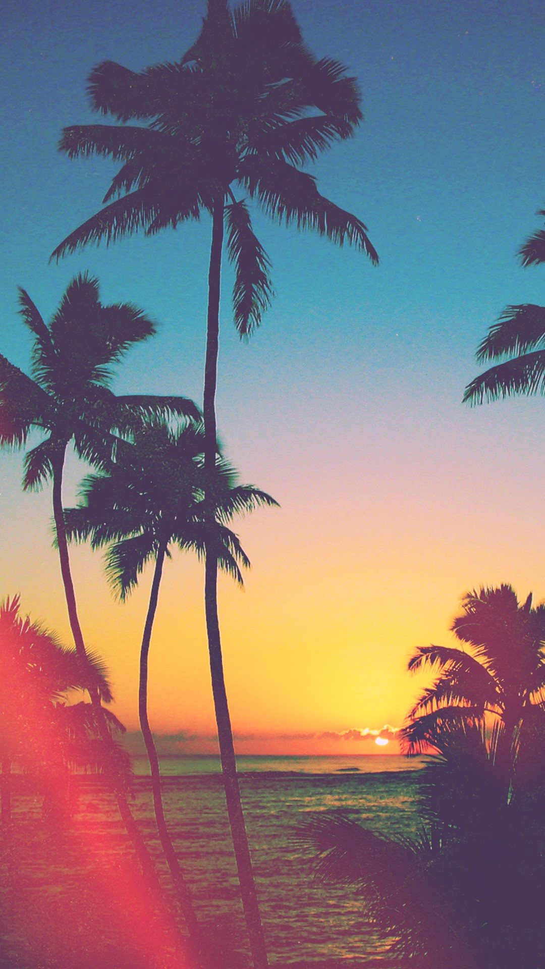 Silhouette of palm trees against a vibrant sunset over the ocean, perfect for a cool phone wallpaper