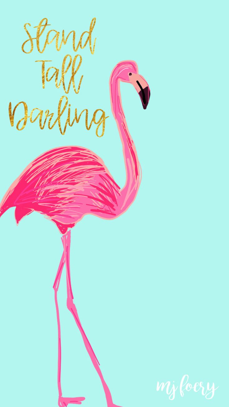 Flamingo Friday Background Cute Background For iPhone