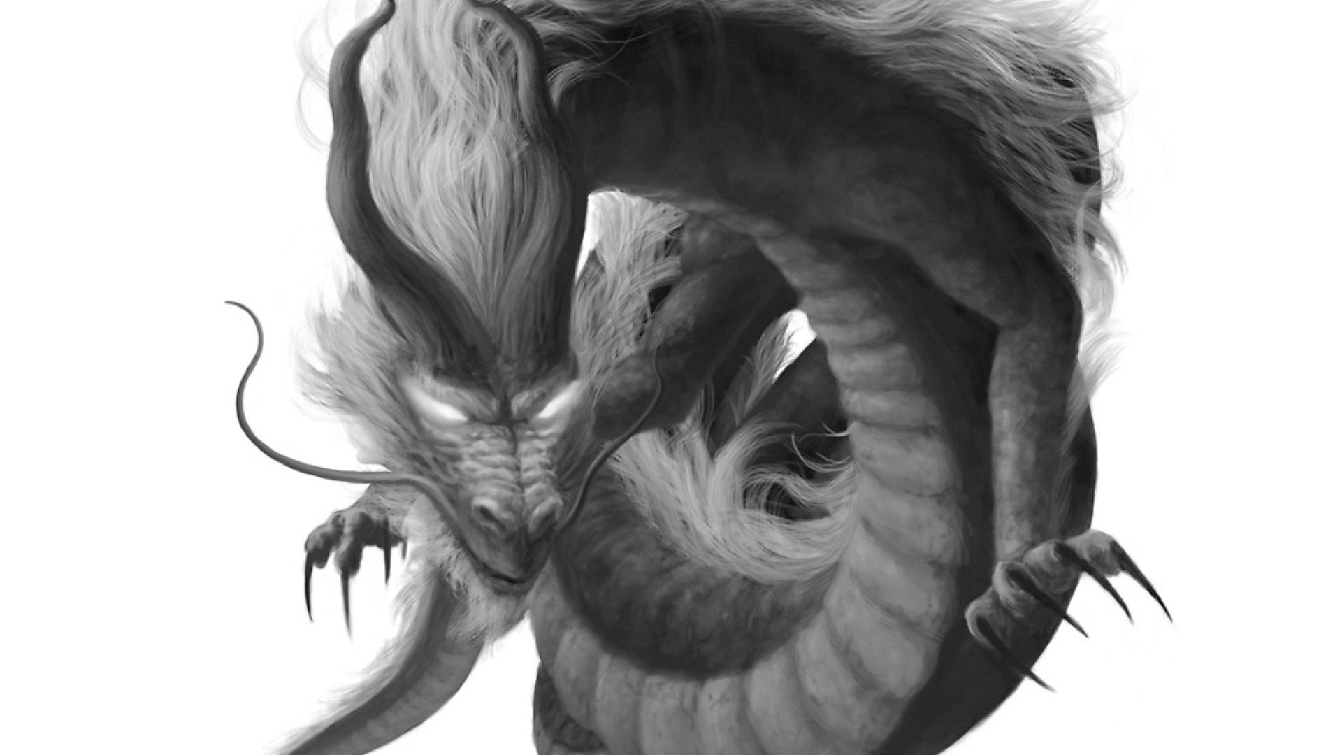Draak HD Wallpaper