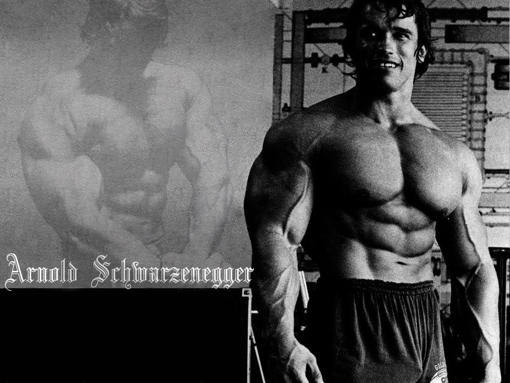 arnold schwarzenegger bodybuilding wallpaper conquer