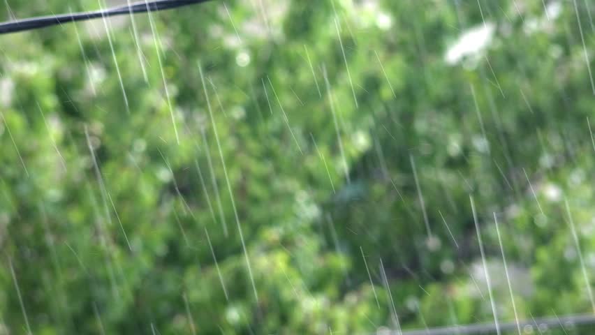 Tropical Heavy Rain In Rainforest Background UHD 4k Stock Footage