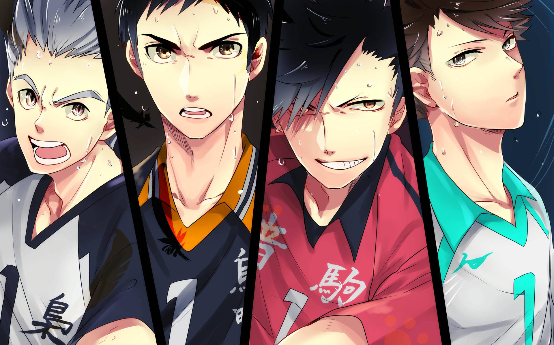 Haikyuu Desktop Wallpaper