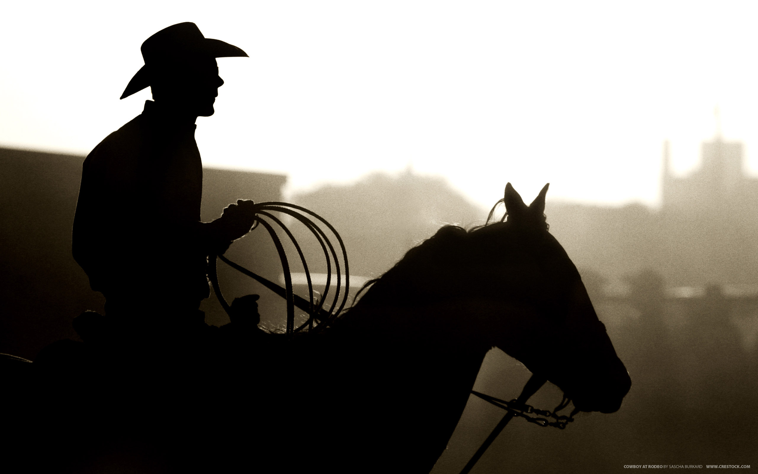 Cowboy At Rodeo HD Wallpaper Res