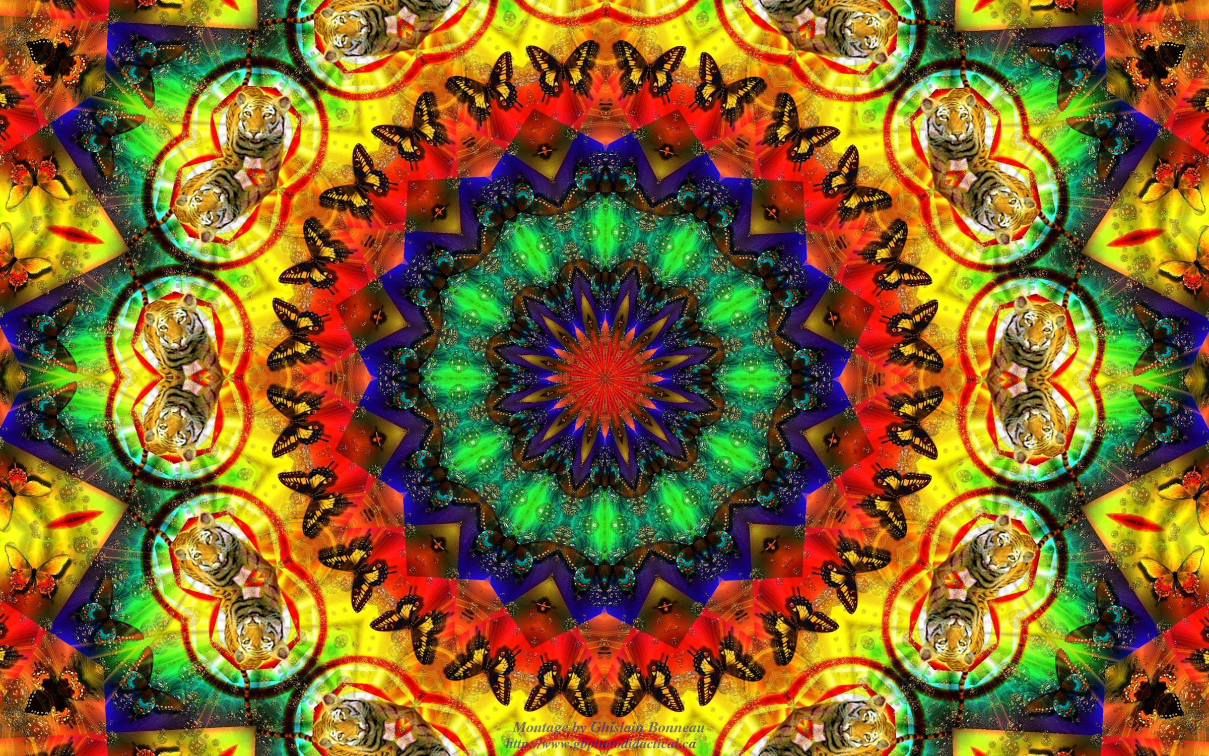 Hippie Background Wallpaper Image Pictures Design