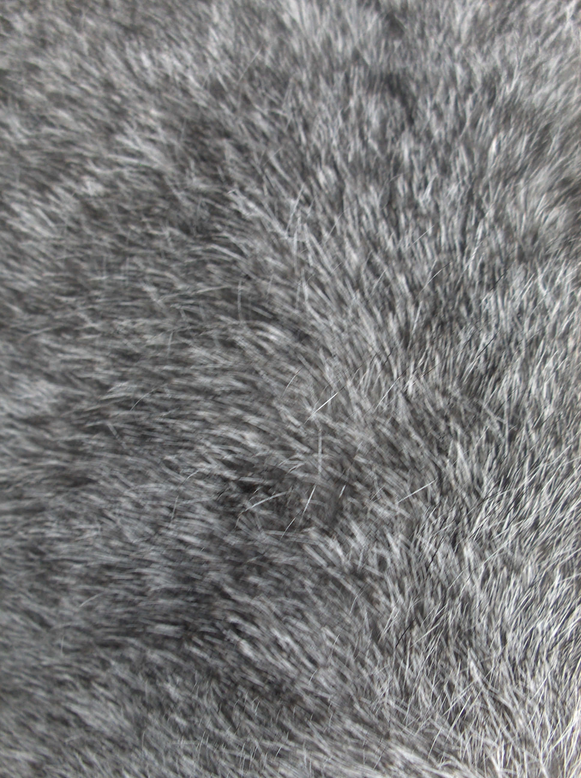 Animal Fur Picture Wallpaper