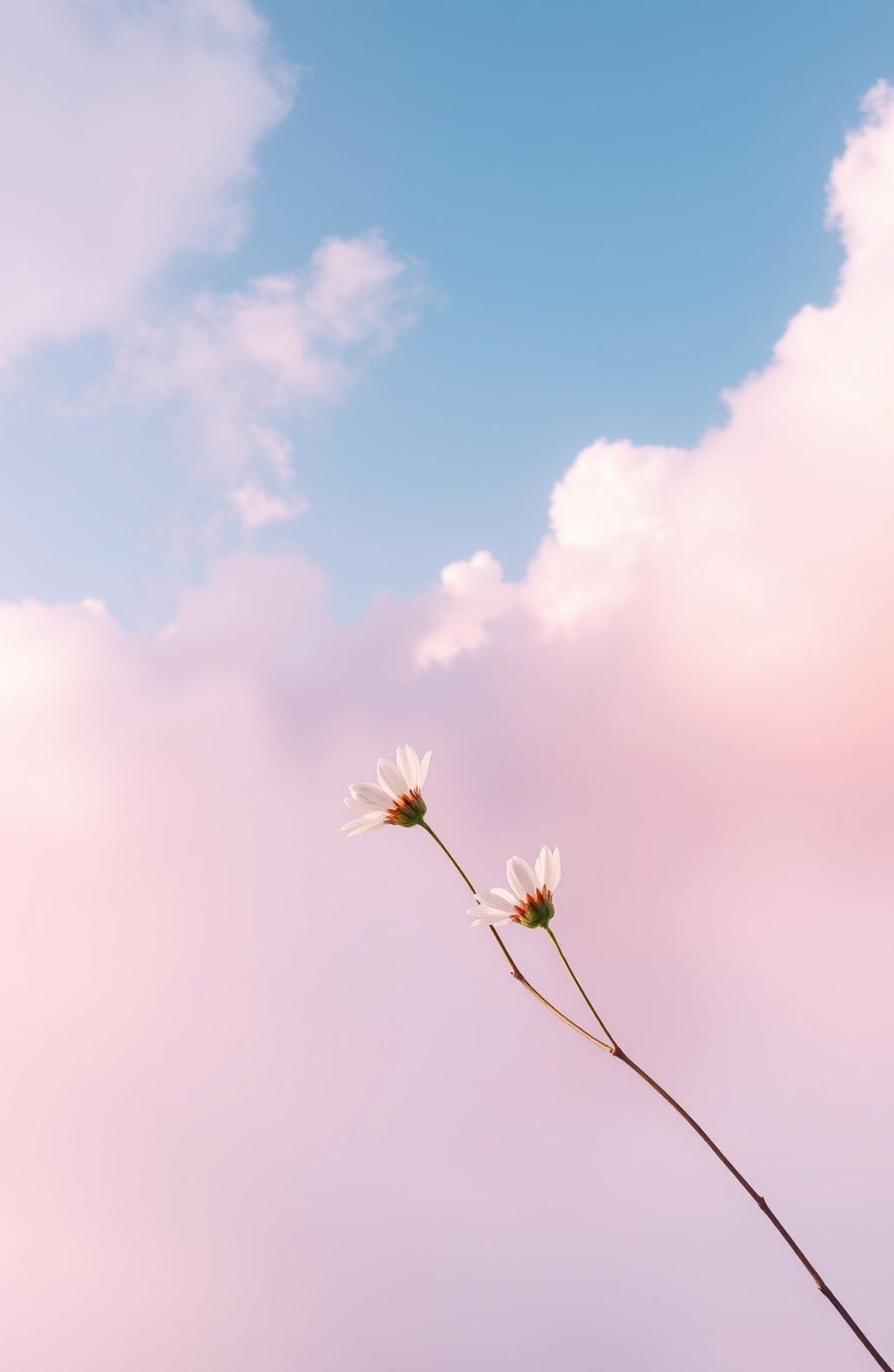 Aesthetic Wallpaper iPad