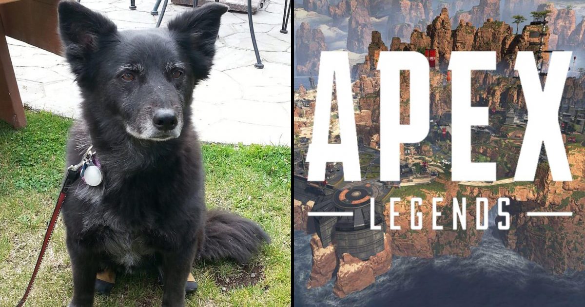 Apex Legends Players Discover An Easter Egg With A Heartbreaking