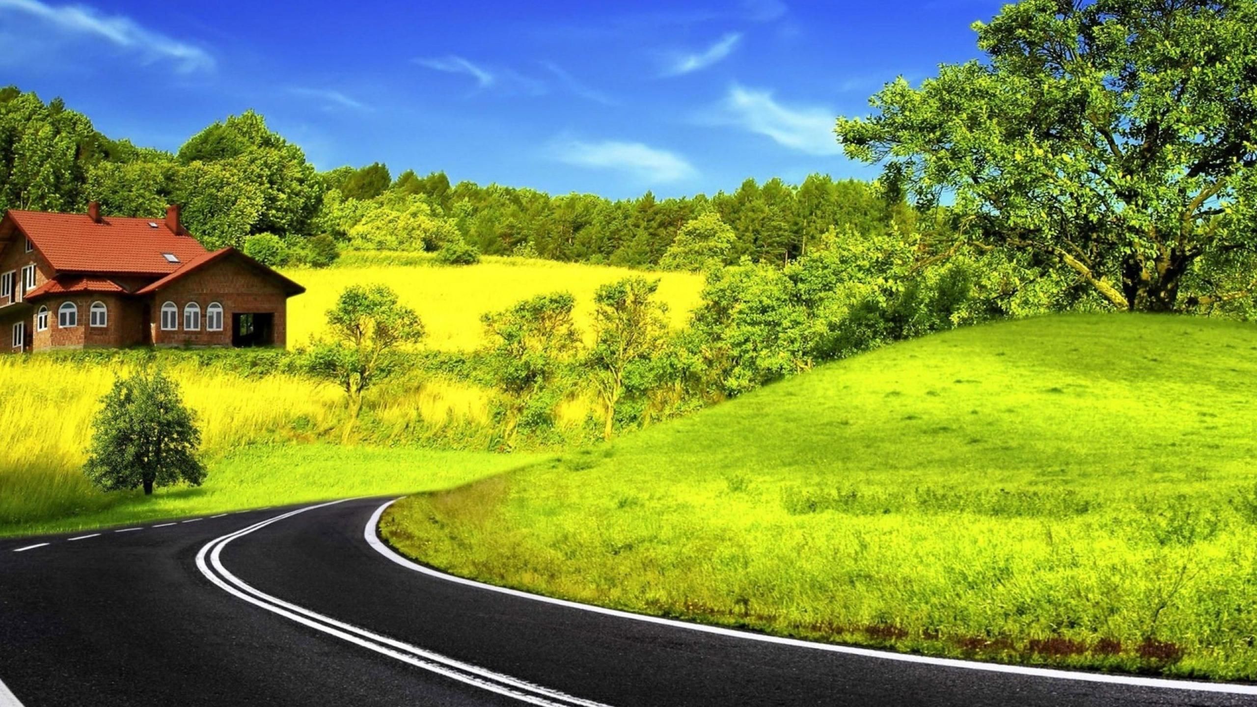 Road Background Nature Wallpaper In