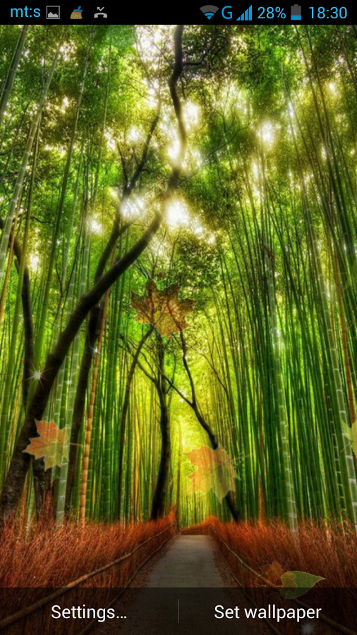 Forest Live Wallpaper Android Apps On Google Play