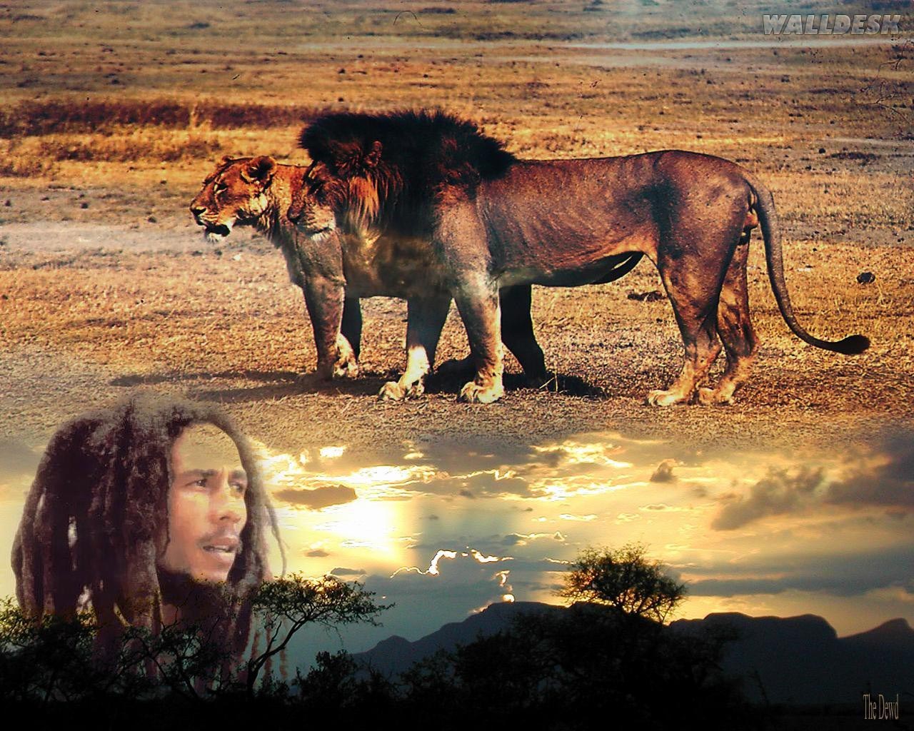 De Parede Bob Marley Bandas Fotos Imagens E Wallpaper No Walldesk