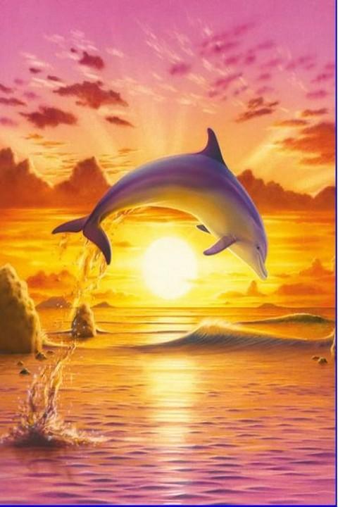 Dolphin Wallpaper 3d Android Apps On Google Play