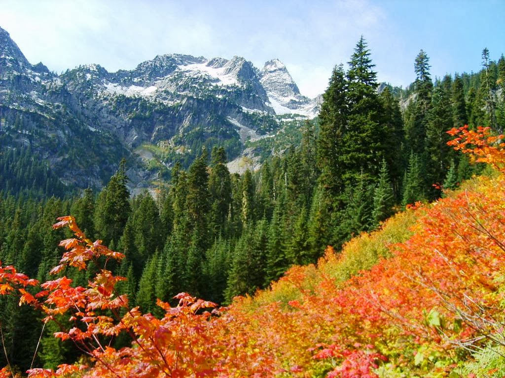 Pacific Northwest Seasons Fall Colors In The