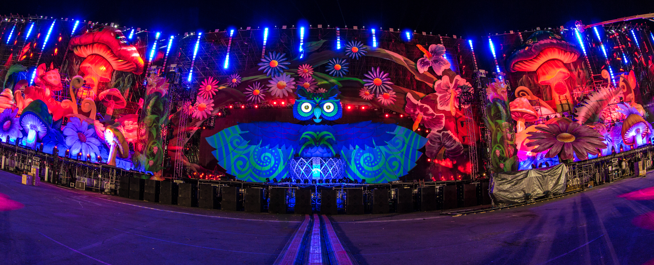 Showing Gallery For Electric Daisy Carnival Flower Logo