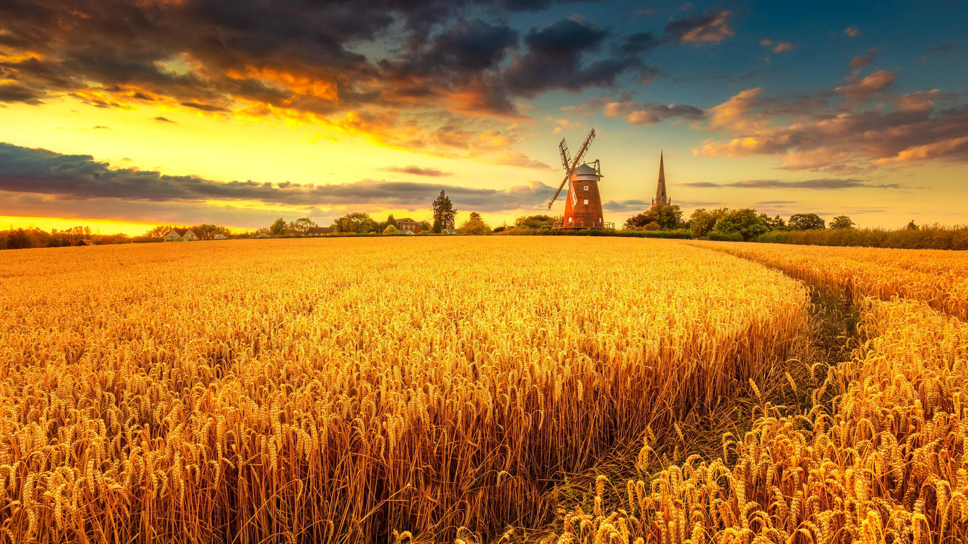 Wheat Field Wallpaper