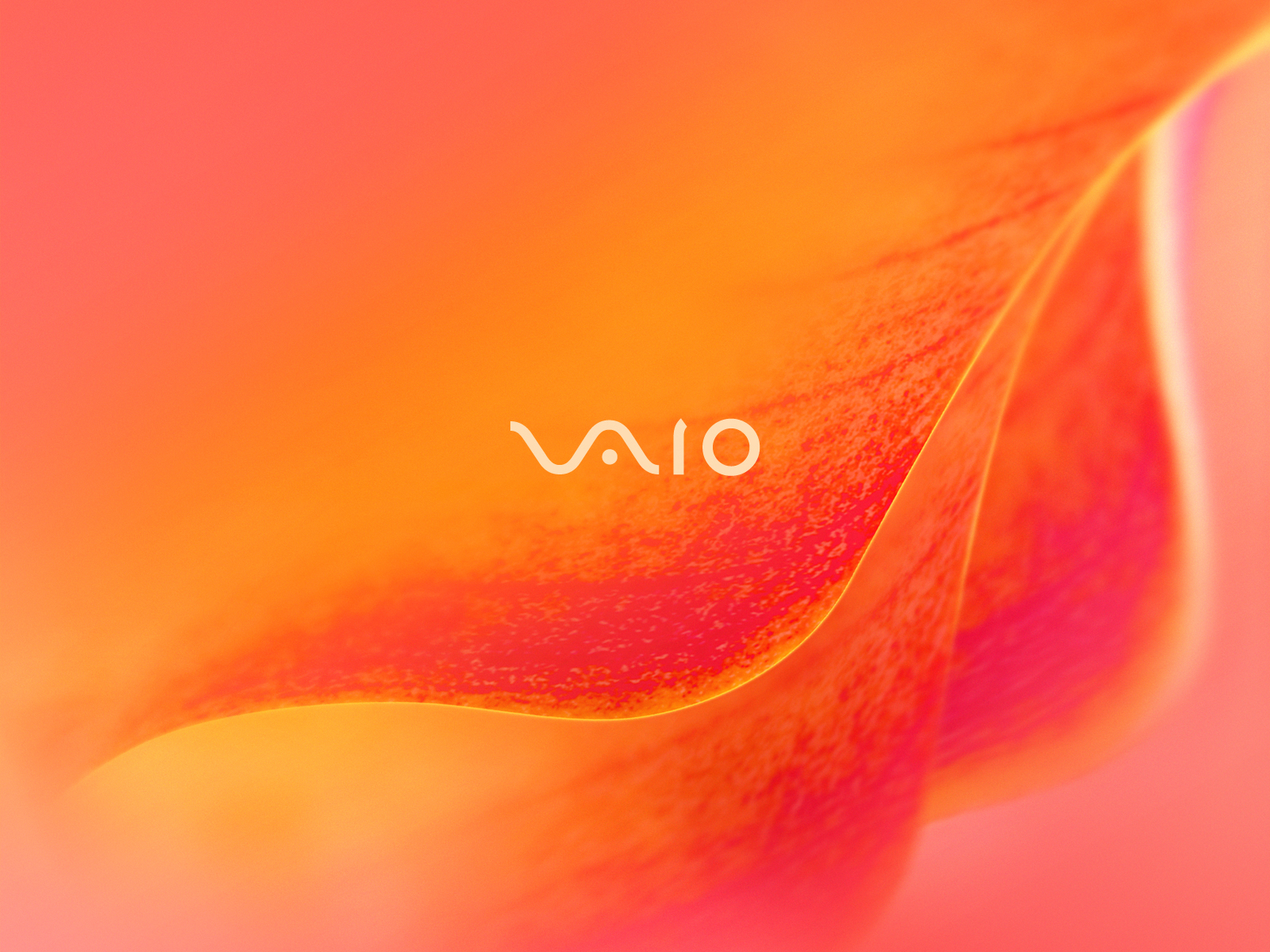 Free Download Sony Vaio Laptop Wallpaper Blue By Resolution Wallpapers