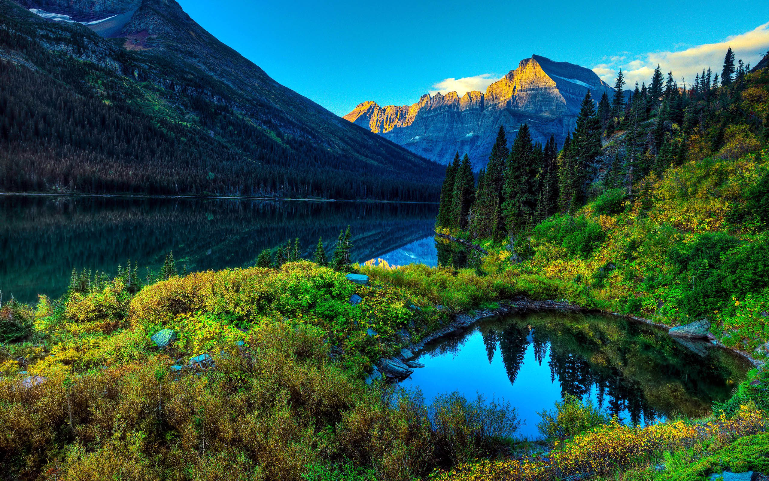 Beautiful Forest Green Lake Landscape Wallpaper HD