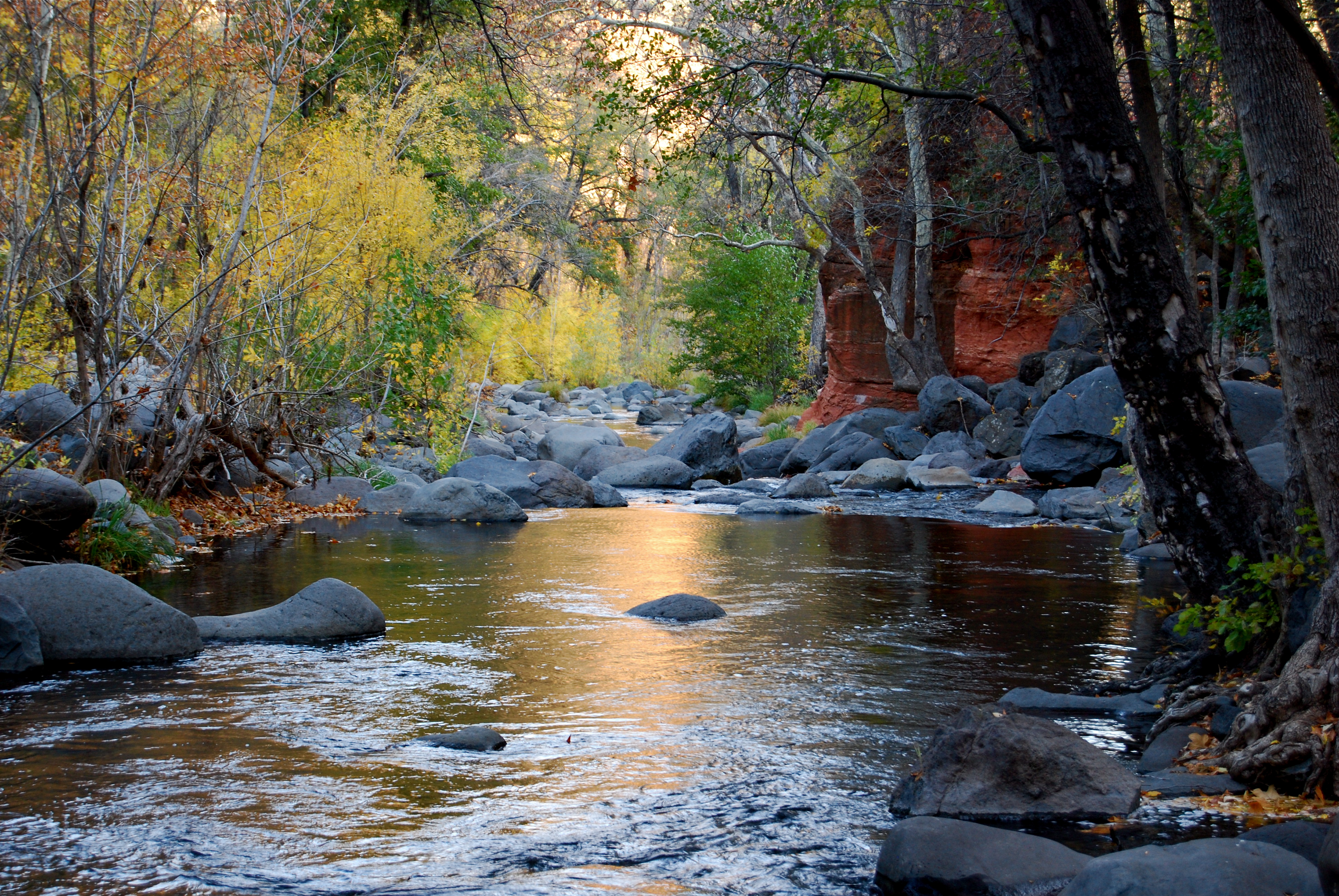 Late Autumn In Oak Creek Canyon Sedona Arizona