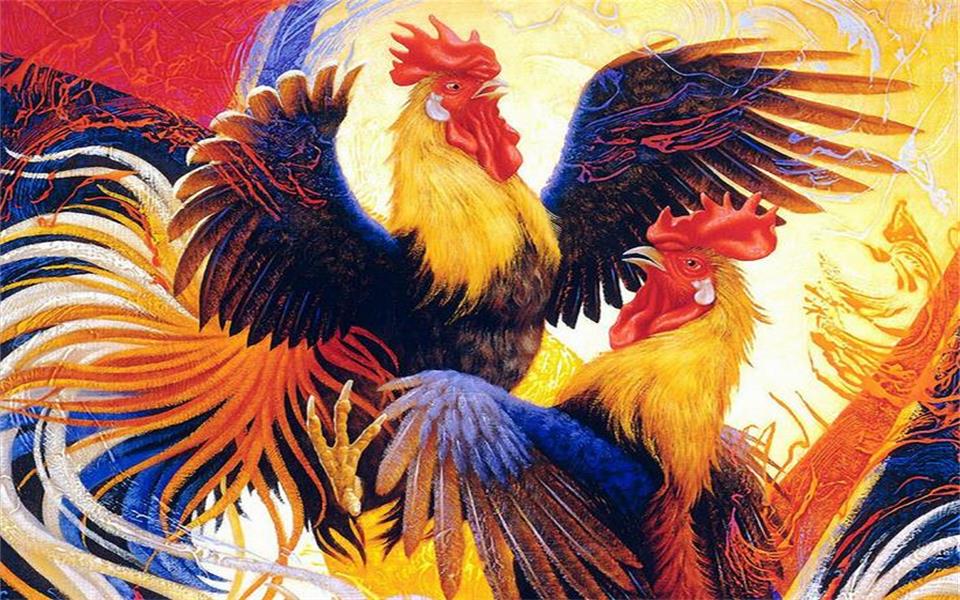Two Roosters Standing Next To Each Other In The Forest Background Fighting  Rooster Pictures Background Image And Wallpaper for Free Download
