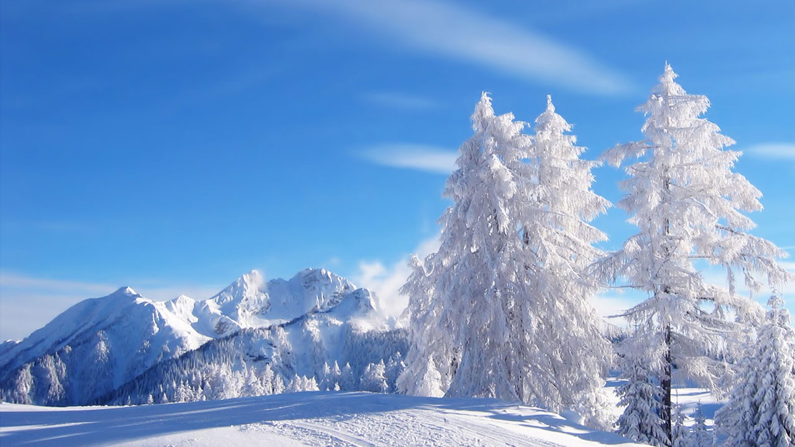 Winter Beautiful view 1600x900