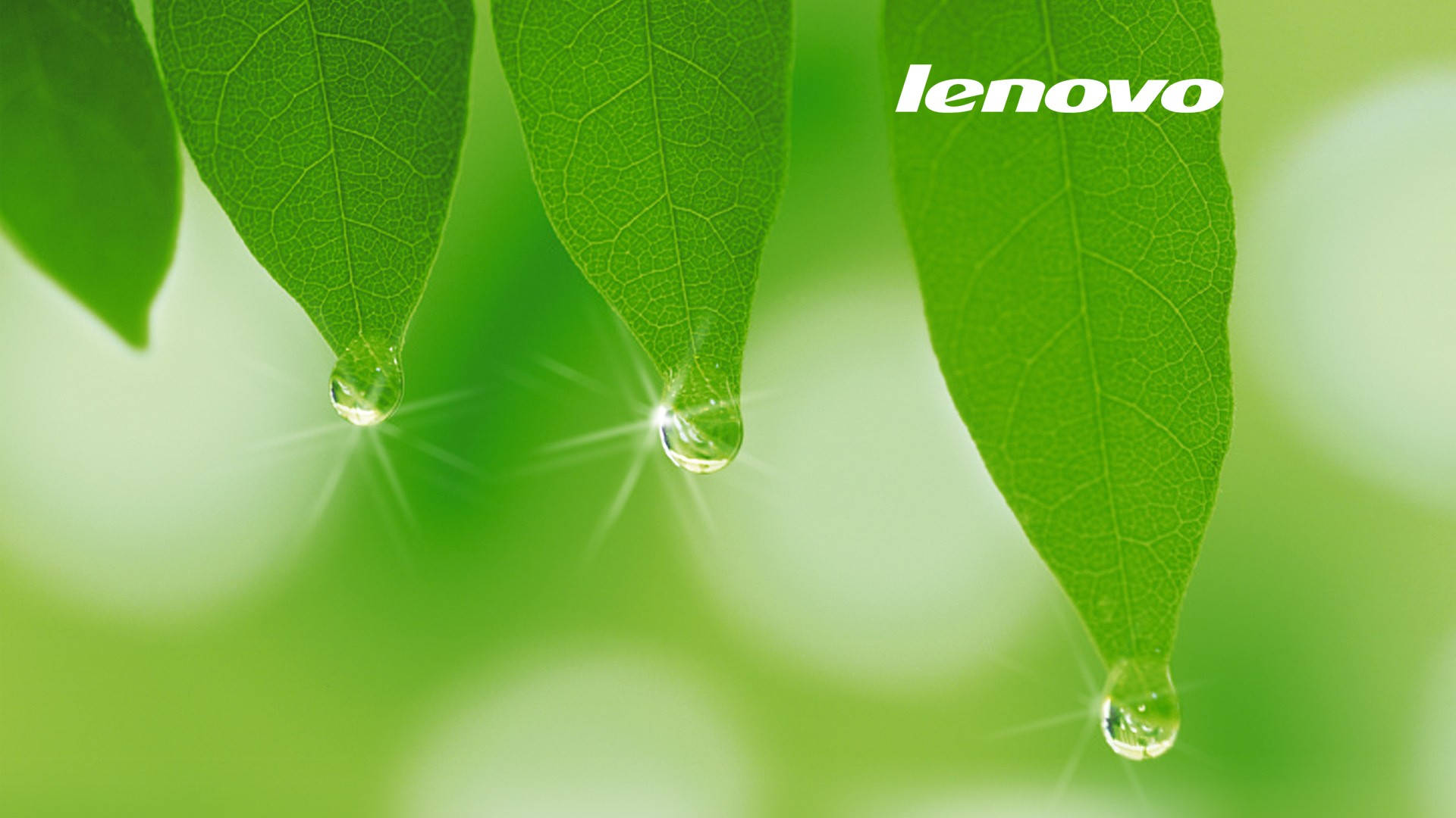 Lenovo Wallpaper