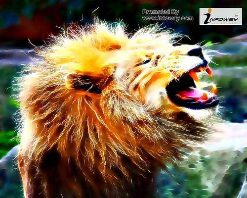 Lion Roar Wallpaper Flickr   Photo Sharing