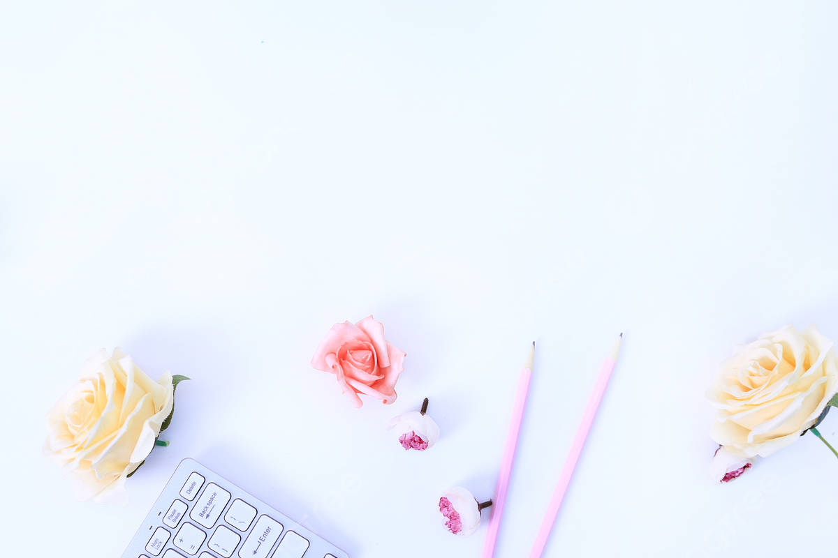 Minimalist Flower Computer Htiox52w5igj16ap Wallpaper