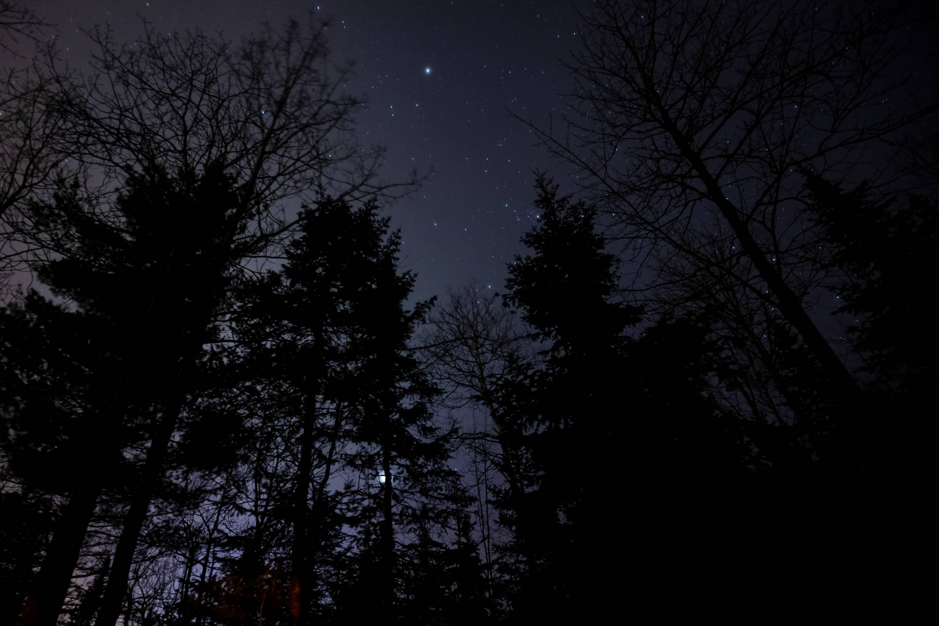 Starry Night Wallpaper
