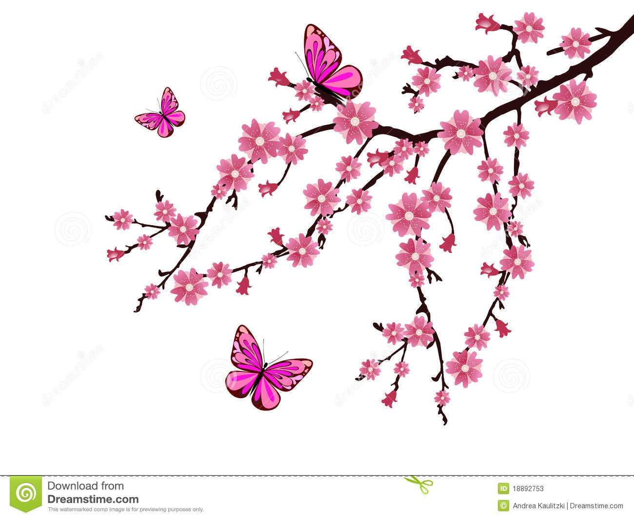 42 Cherry Blossom Wallpaper Border On Wallpapersafari