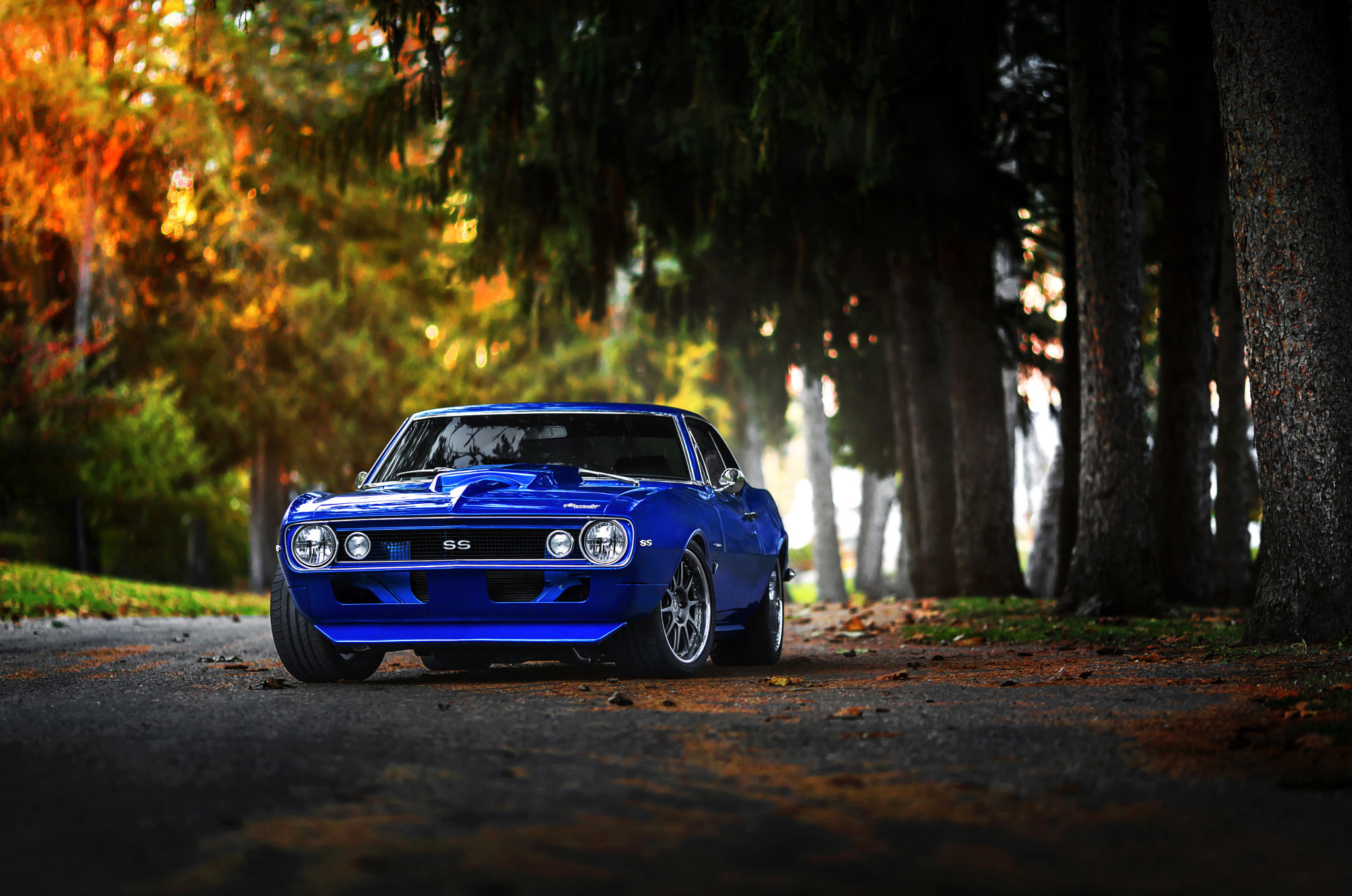 A vibrant blue Chevrolet Camaro SS muscle car parked on a scenic road lined with trees in autumn