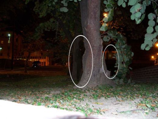 Real Shadow People Photographed Do You Believe Paranormal