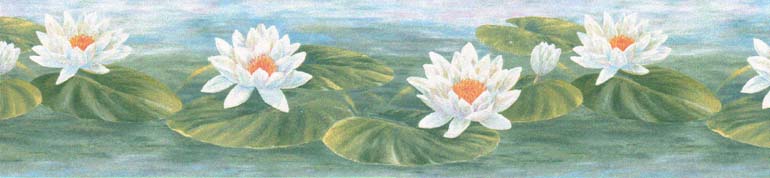 Details About White Water Lily Nenuphar Wallpaper Border 332b39719