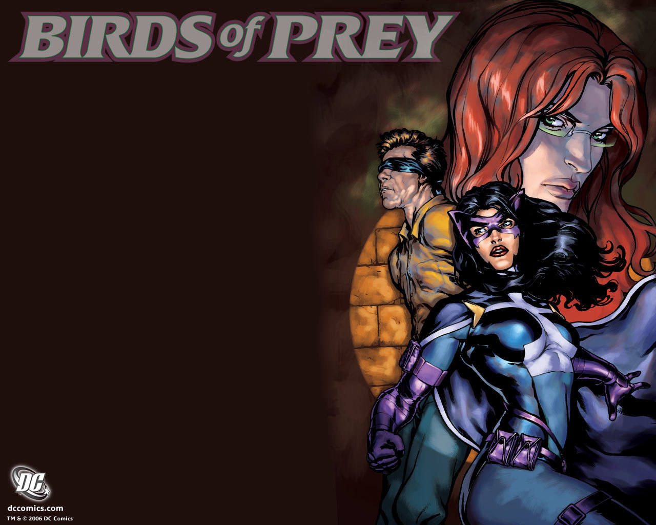 Birds Of Prey Image Ics HD Wallpaper And Background Photos