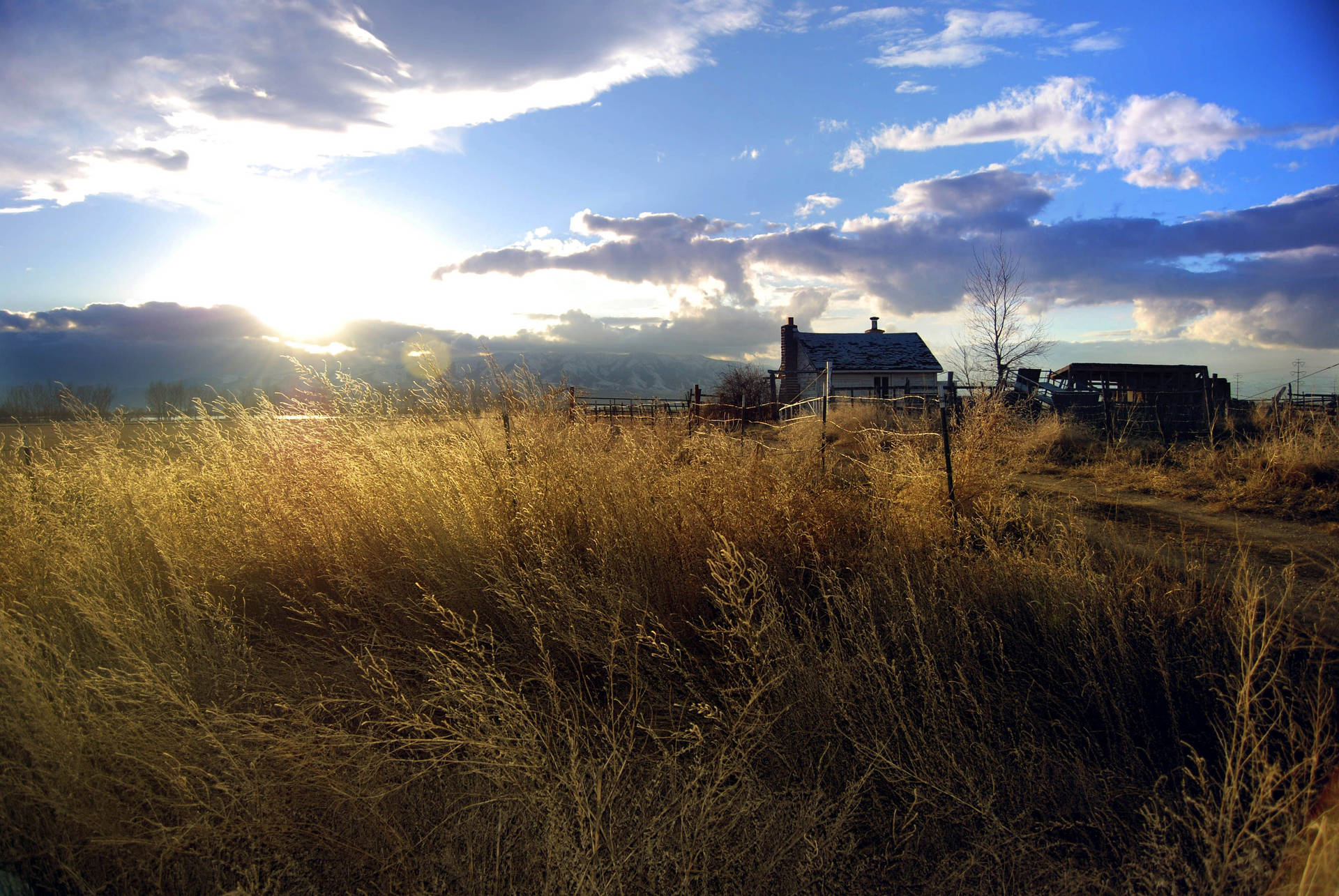 Farmhouse With Dried Golden Grass Pzbq623c6crrcvzd Wallpaper