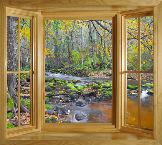 Of A River In The Autumn Forest Window Scene Wall Mural Poster