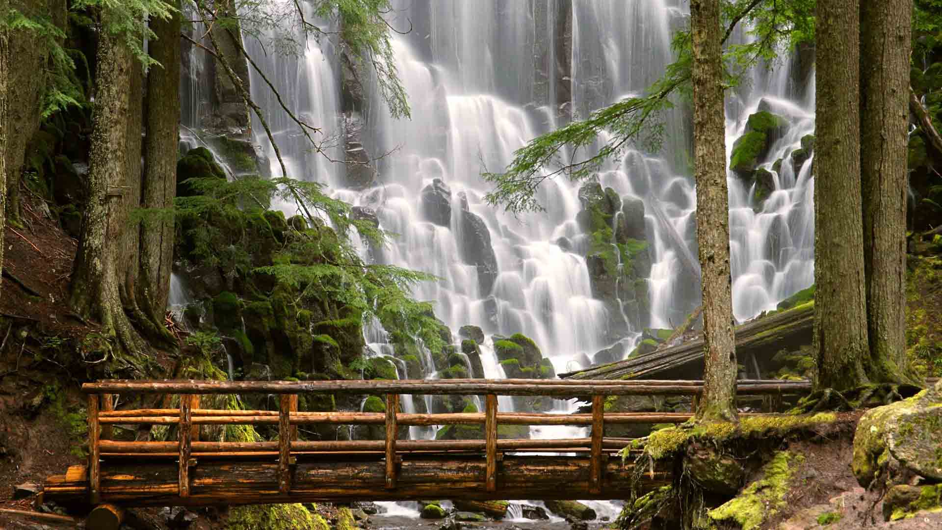 A wooden footbridge crosses a stream in front of a cascading waterfall in a lush green forest