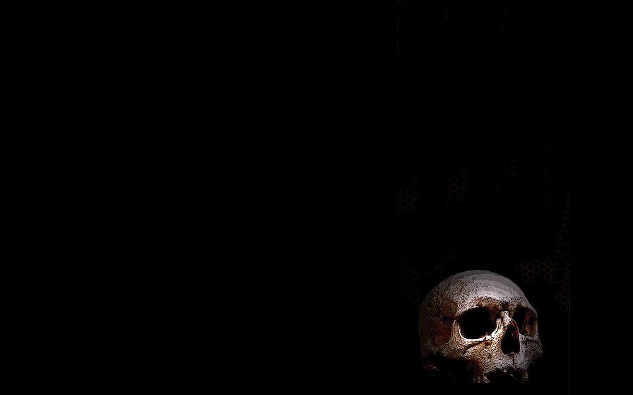 Skull Wallpaper And Background Id