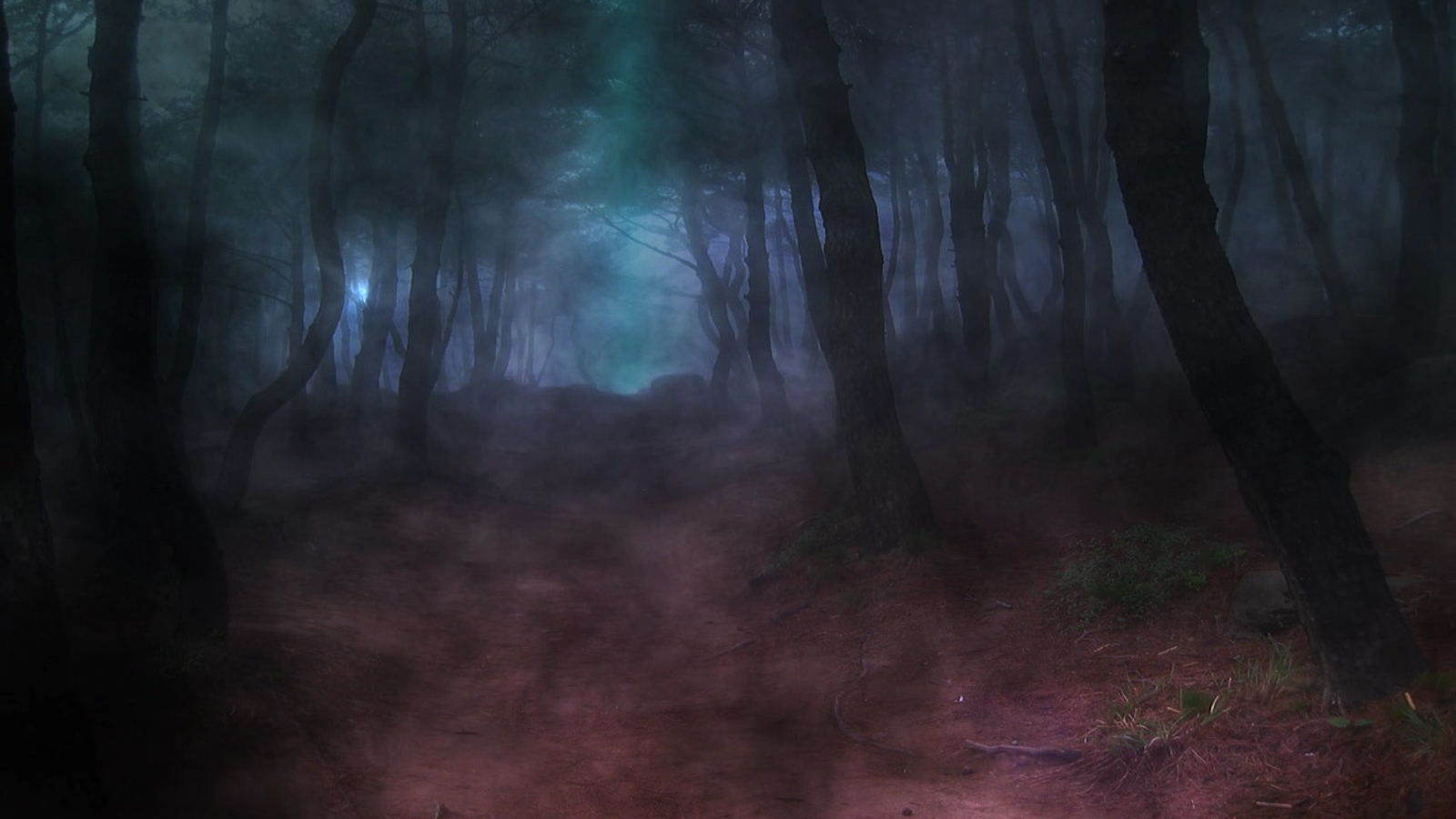 Animated Dark Forest Backgrounds Animated Dark 1600x900