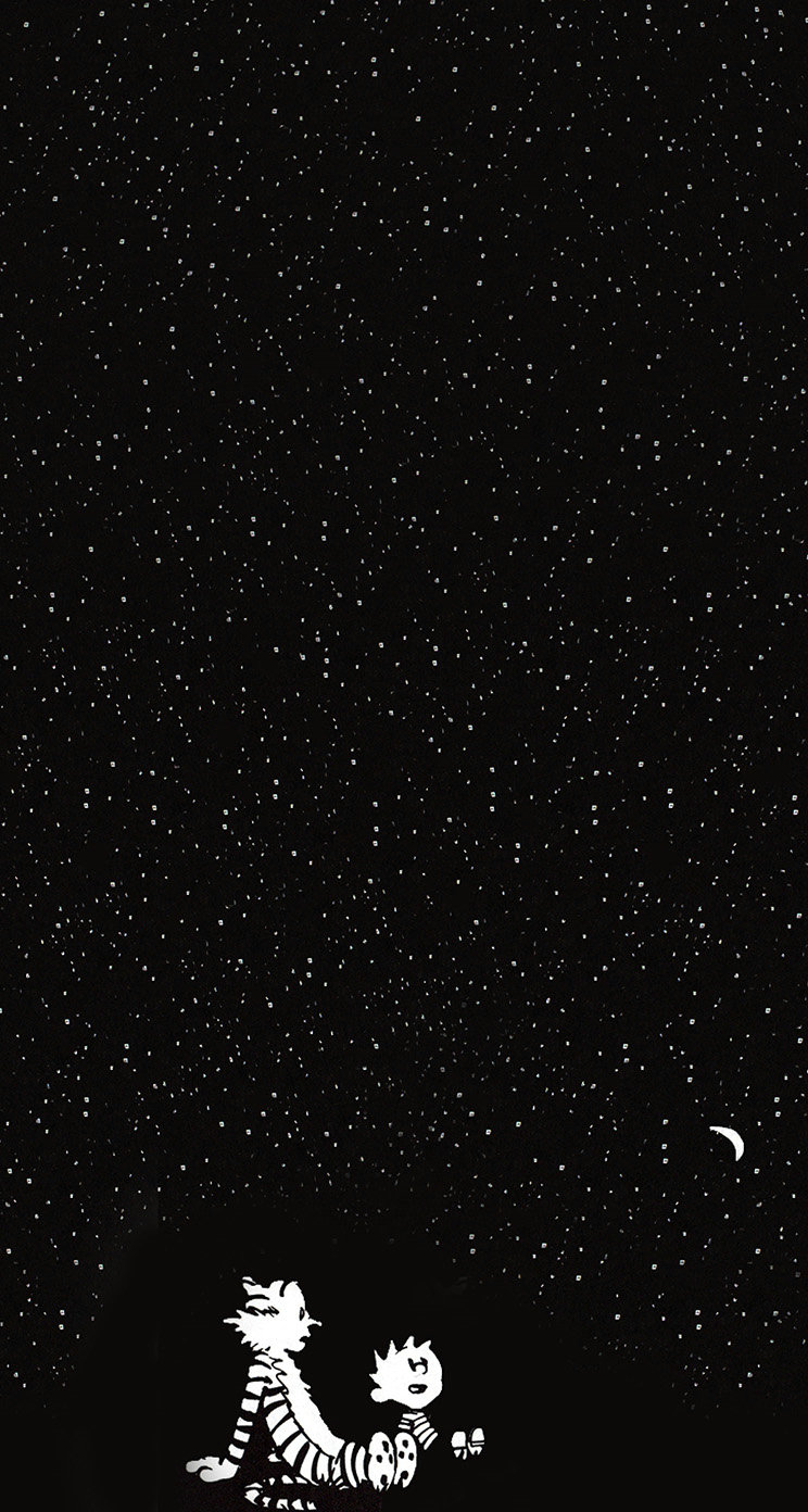 Calvin And Hobbes In The Starry Night iPhone 5s Wallpaper