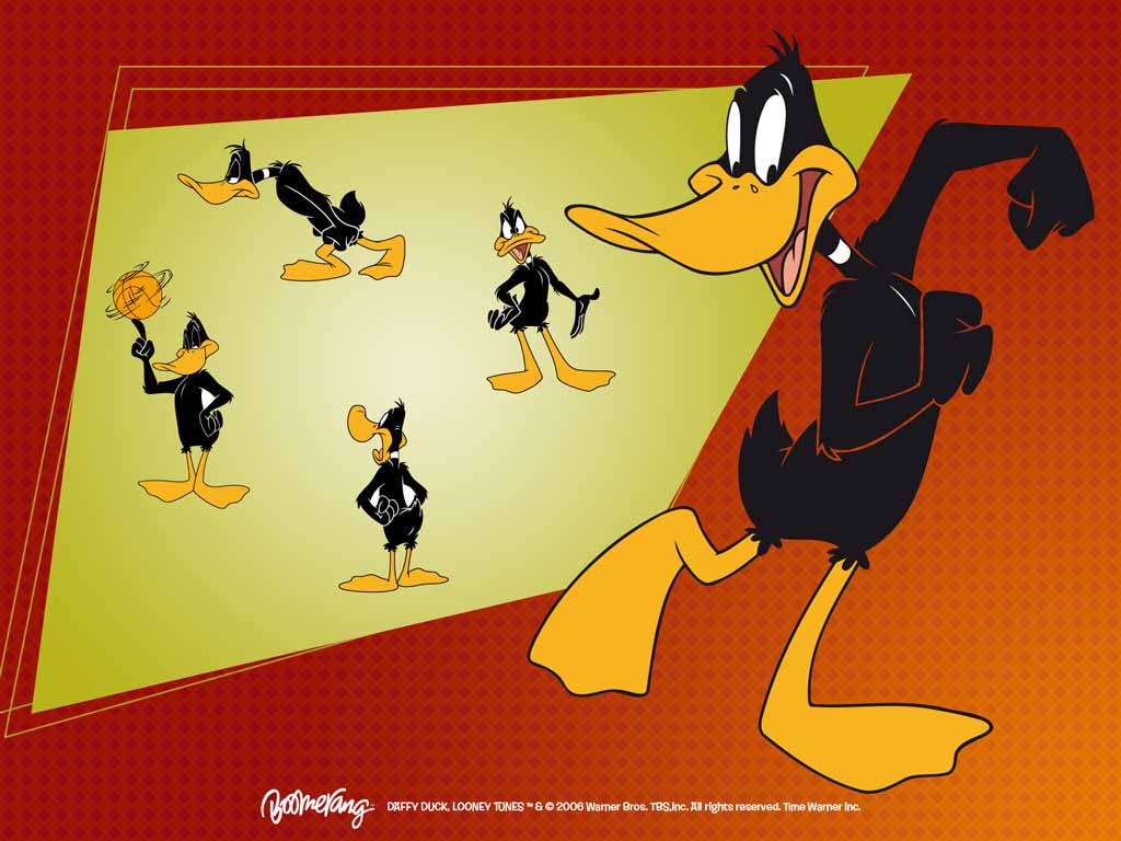 Top Cartoon Wallpaper Daffy Duck