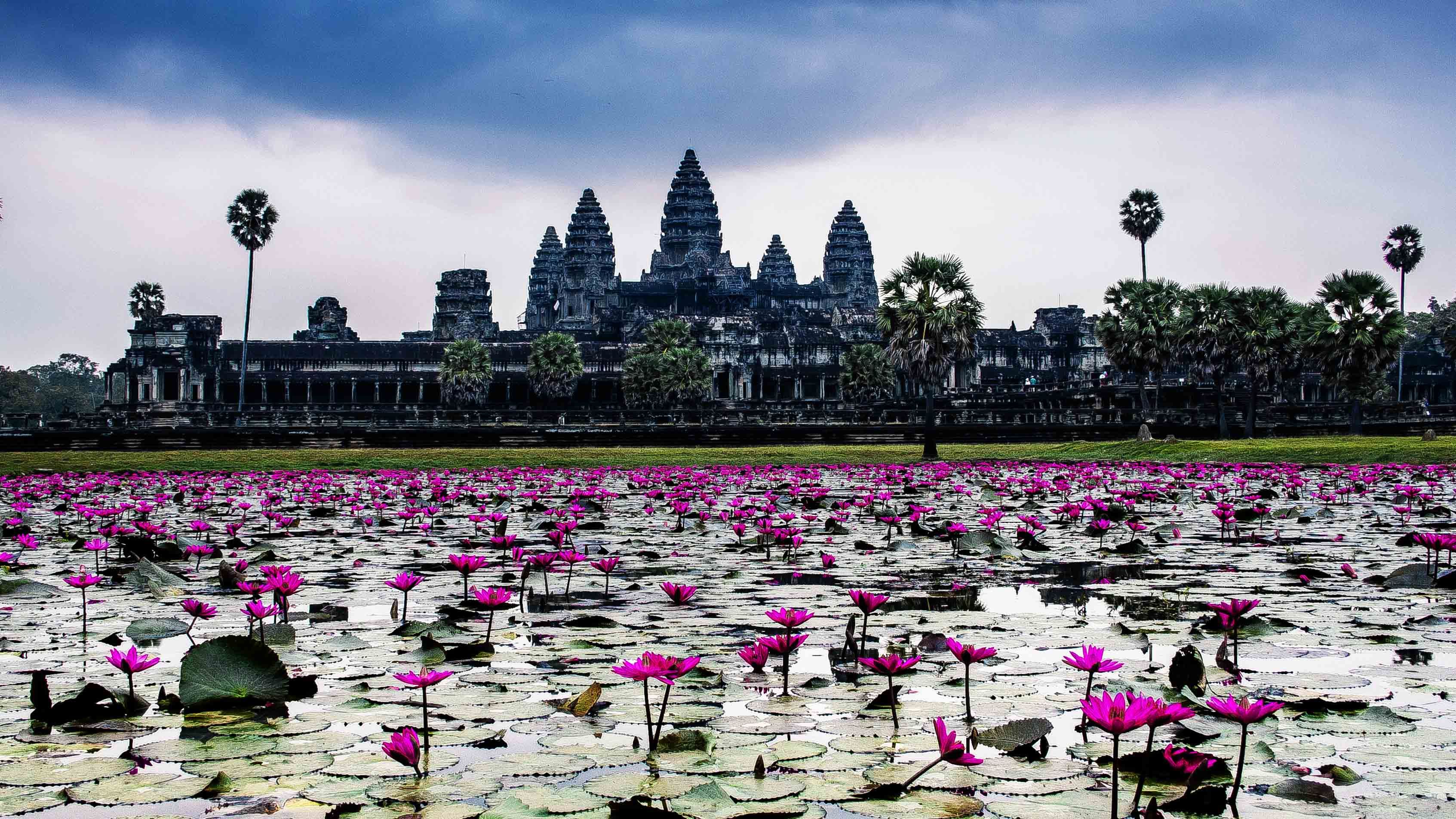 Discover The Majestic Angkor Wat In Siem Reap Wallpaper