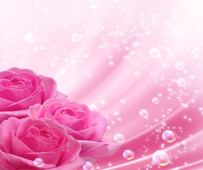 Photos Beautiful Pink Roses