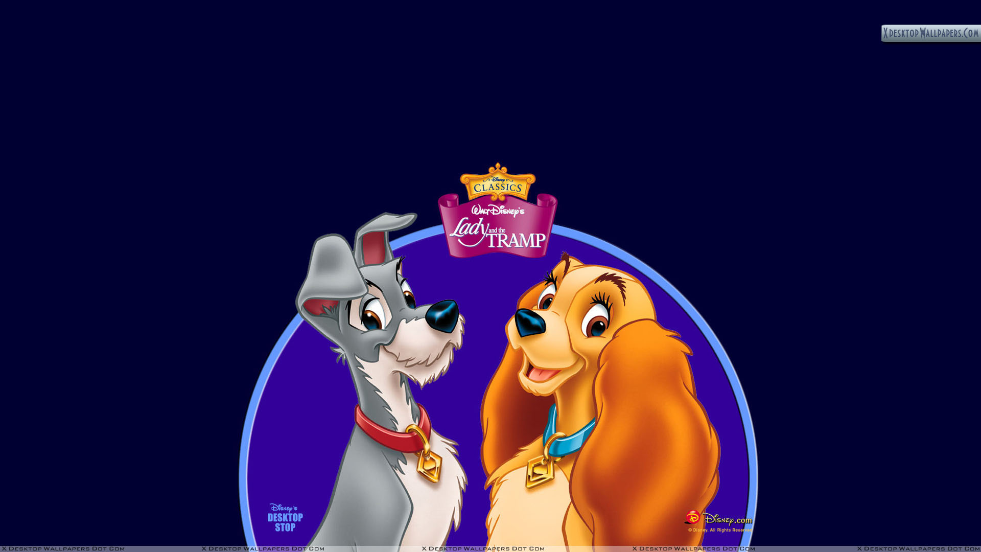 Lady And The Tramp Wallpaper Photos Image In HD