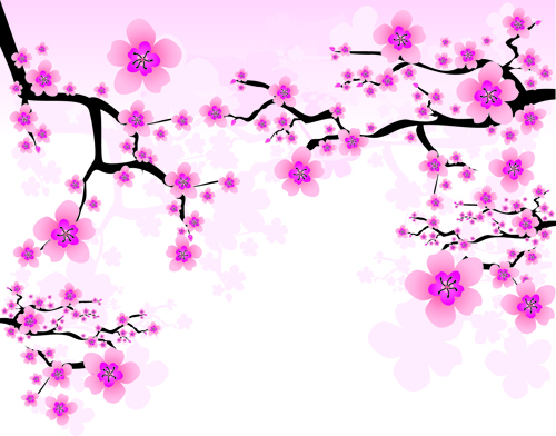Japan Cherry Blossoms Vector Flower