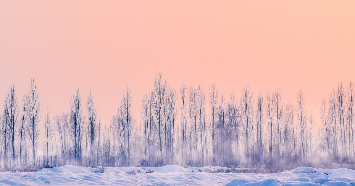 Nature Aesthetic Winter Desktop Wallpaper Weve Gathered More