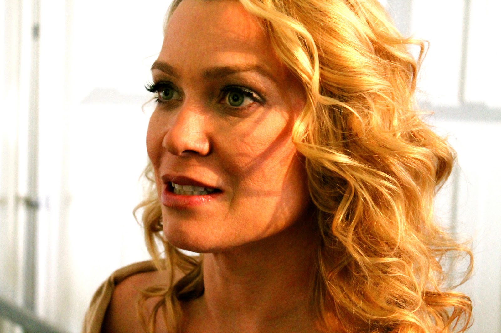 Laurie Holden Wallpaper