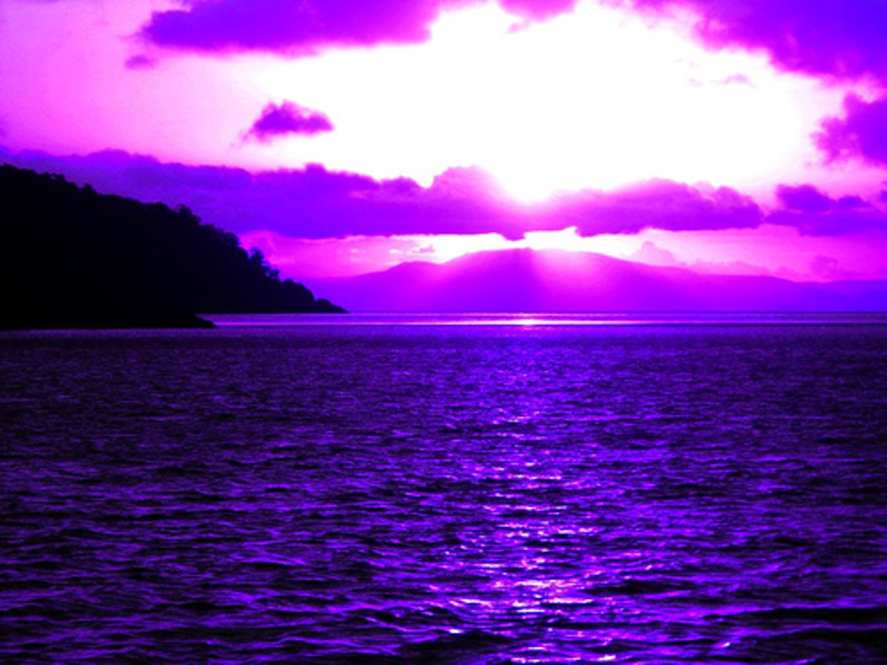 Purple Sunset wallpaper   ForWallpapercom