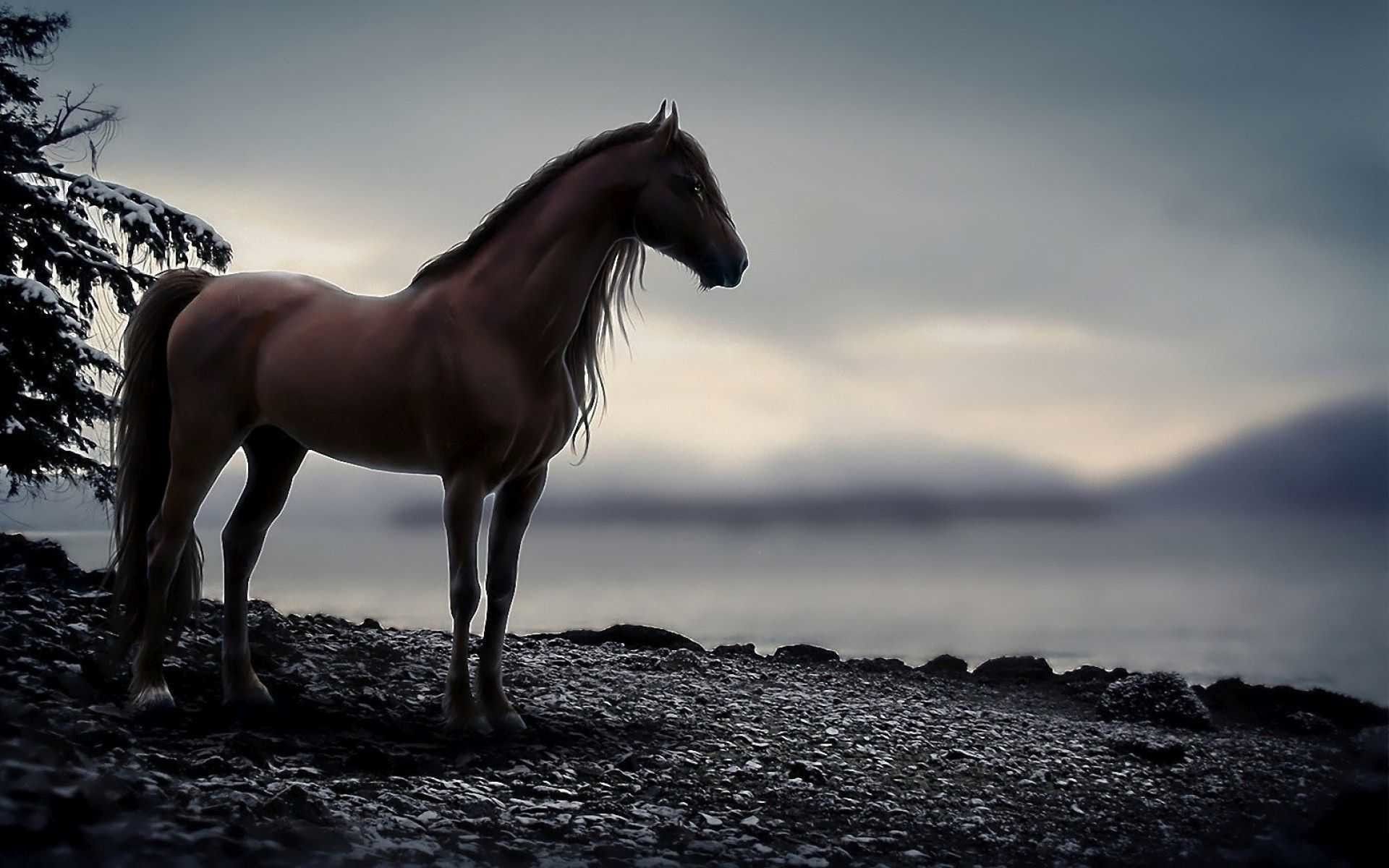 Majestic horse standing on a rocky shore against a misty backdrop