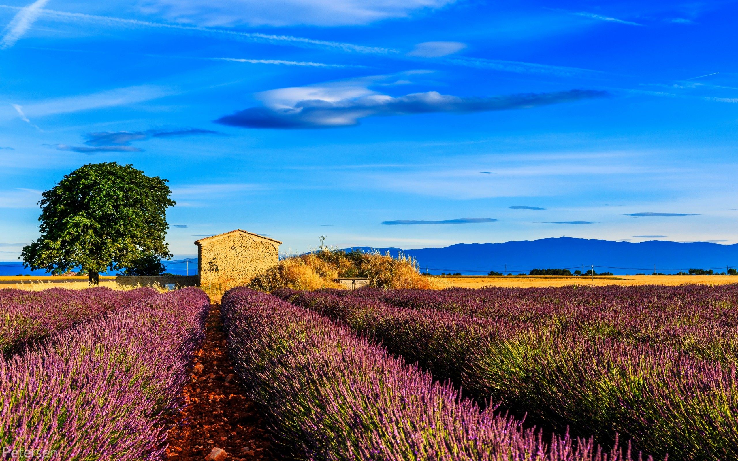 Provence France Wallpaper Related Keywords Amp Suggestions